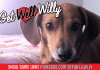 "Get Well, Willy!" – A Benefit for Willy the Weenie Dog "Get Well, Willy!" A benefit for Willy the Weenie Dog by The Homicidal Homemaker