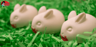 Night of the Lepus (or Monty Python) Bloodthirsty Bunny Truffles No-bake bunny shaped truffle recipe inspired by the horror film Night of the Lepus